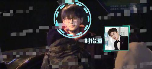 新浪娱乐爆料,明星幕后故事大揭秘 第3张 新浪娱乐爆料,明星幕后故事大揭秘 第3张